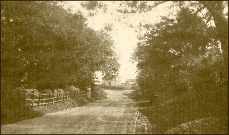 Fern Road in 1920s