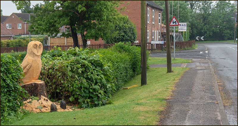 Barny the Owl in 2018