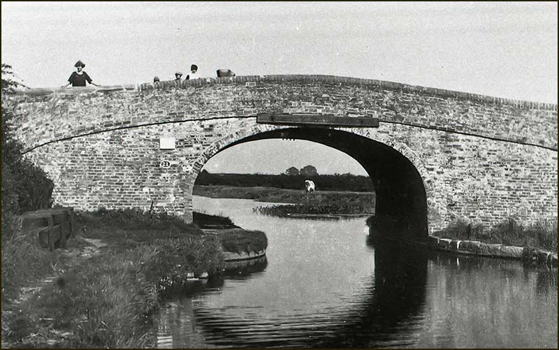 Clay tips from Heaselden's mine. Photo taken from the church tower in 1949
