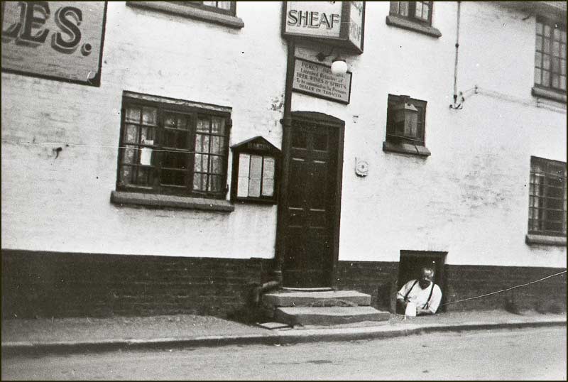Percy Brown looking out of cellar trapdoor