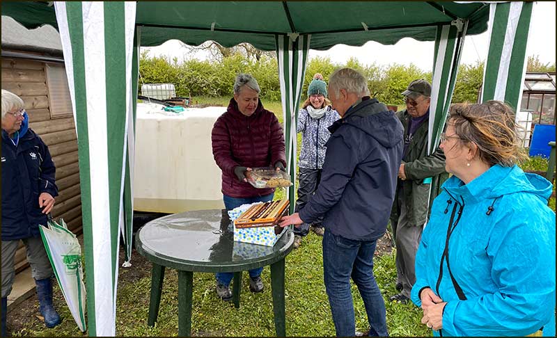 Allotment Presentation