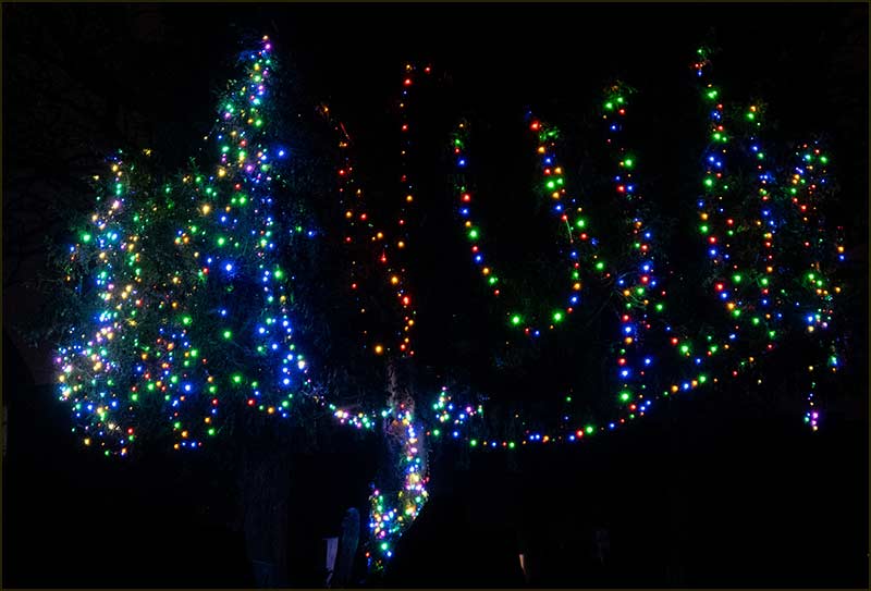 Xmas lights