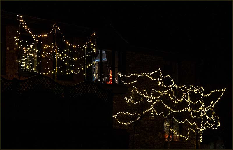 Xmas lights