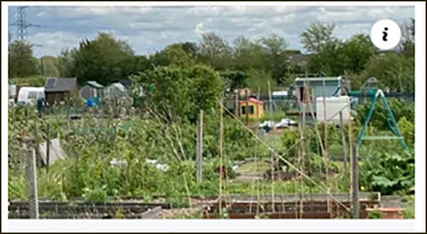 Allotment
