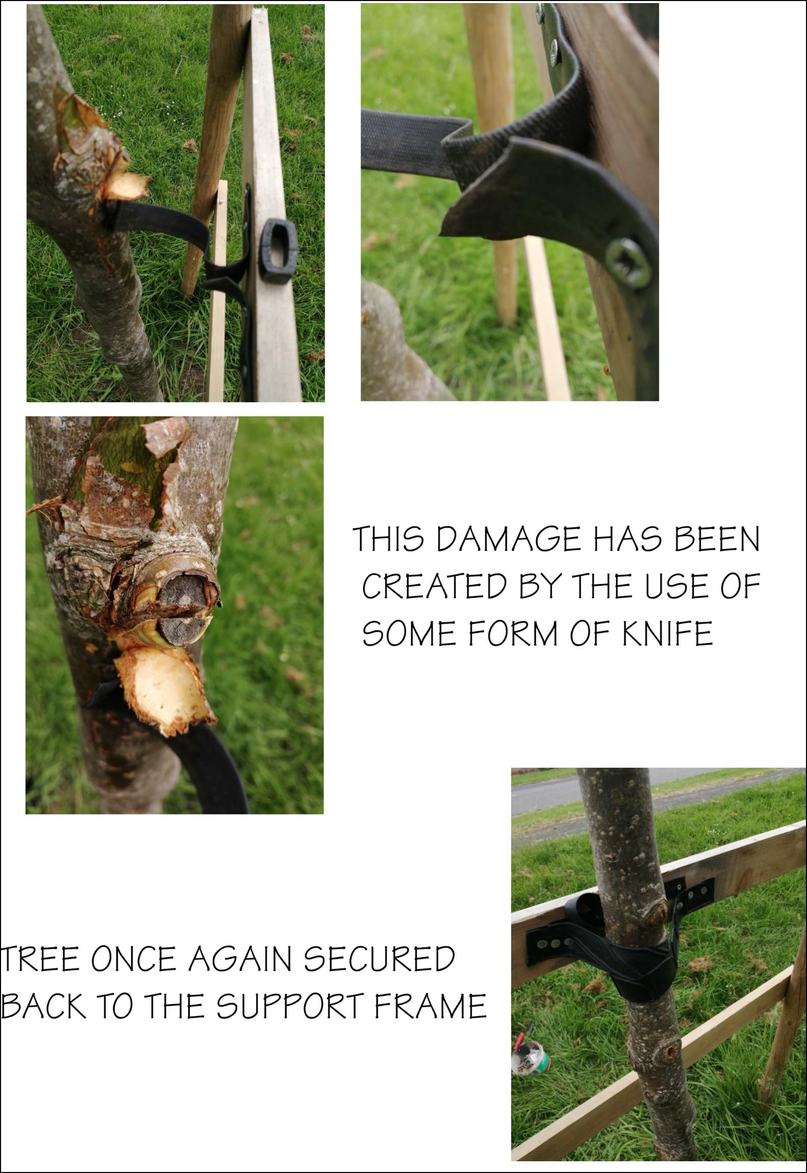 Tree damage