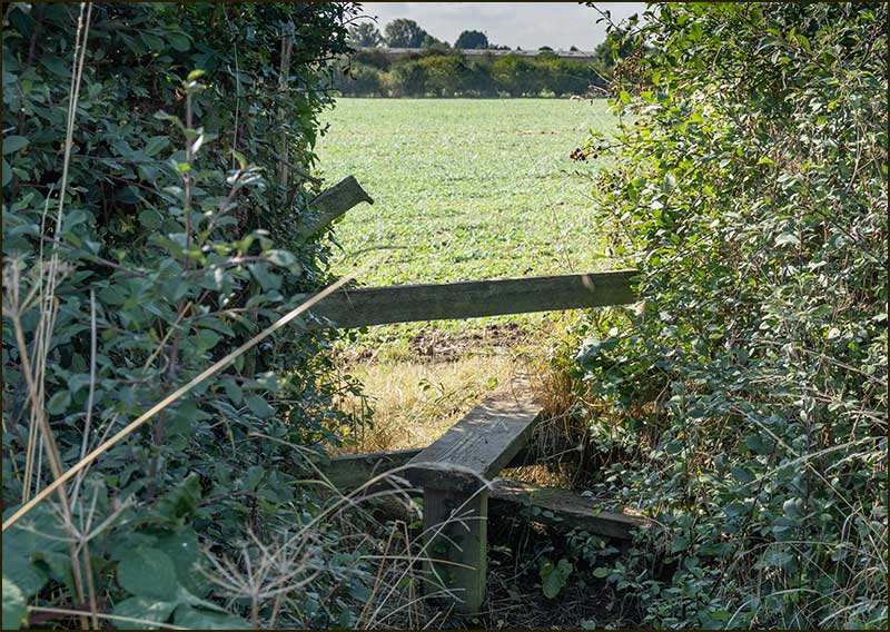 Colston Road Bridge Walk