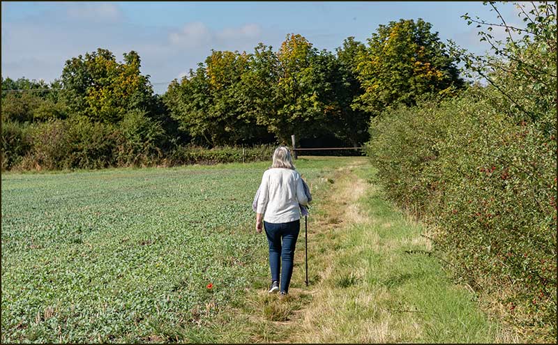 Colston Road Bridge Walk