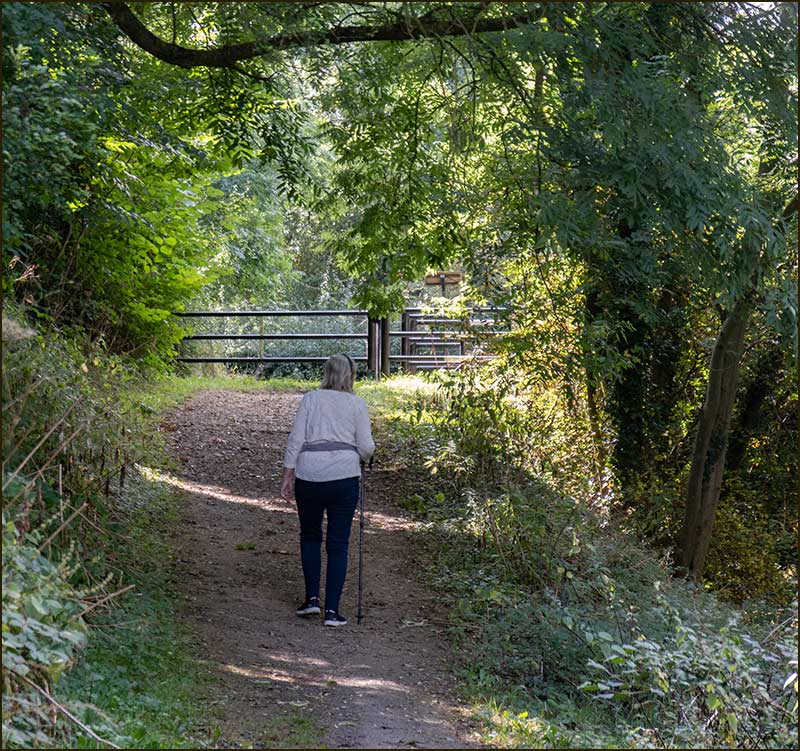 Colston Road Bridge Walk