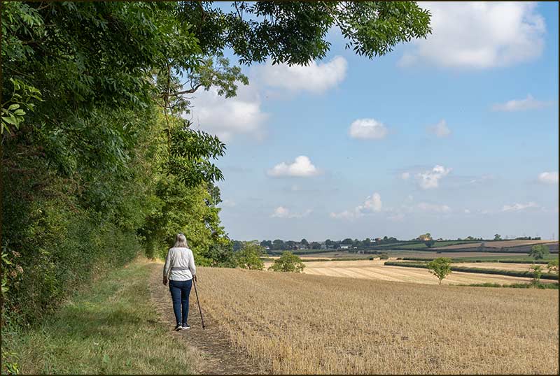 Colston Road Bridge Walk