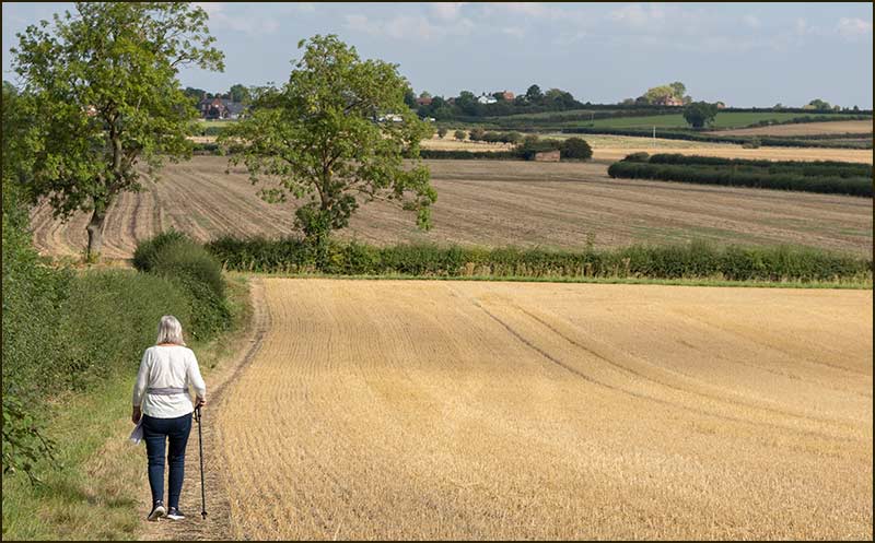 Colston Road Bridge Walk