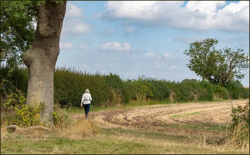 Colston Road Bridge Walk