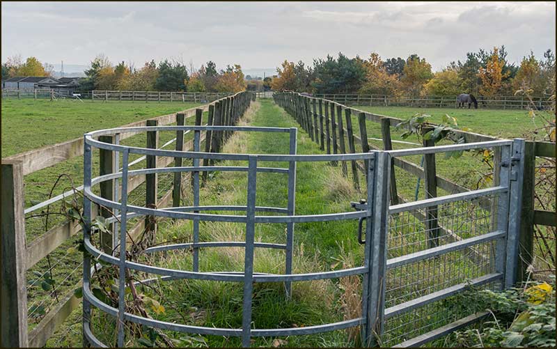 Spike Island Walk