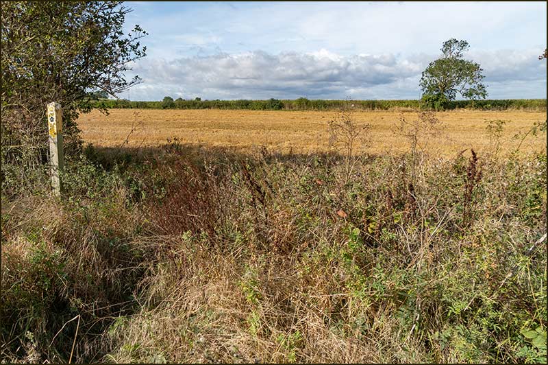 Cropwell Wolds Walk