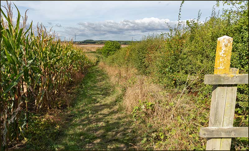 Cropwell Wolds Walk