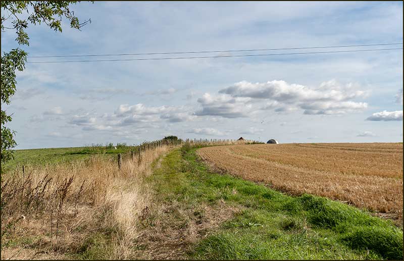 Cropwell Wolds Walk
