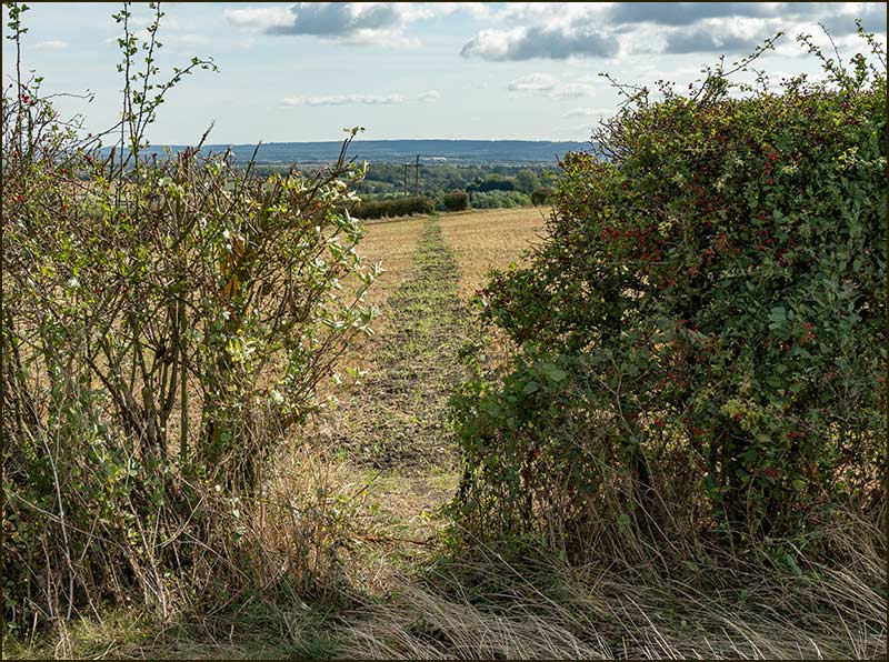 Cropwell Wolds Walk