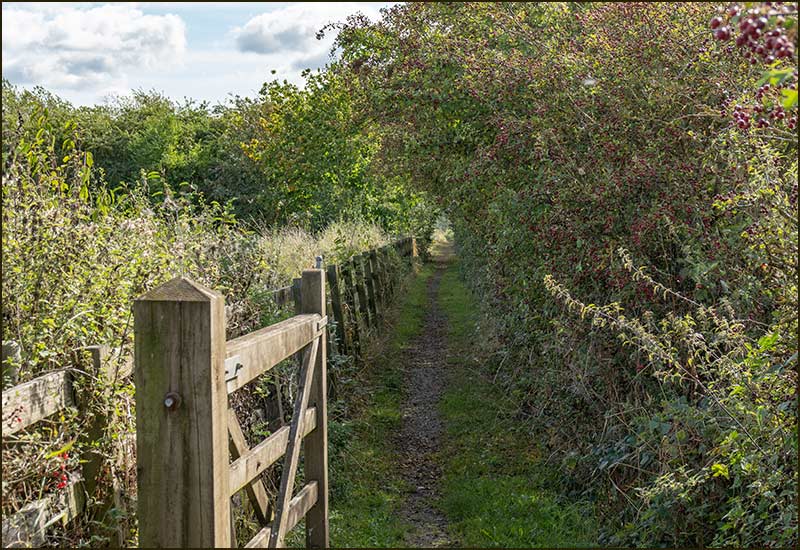 Cropwell Wolds Walk