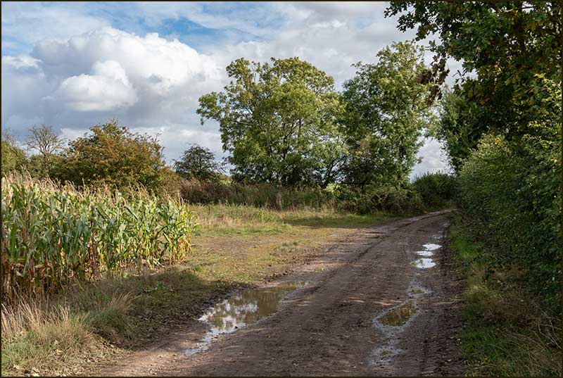 Cropwell Lock Walk