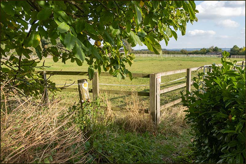 Meadow Lane Walk