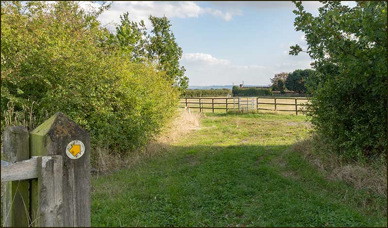 Meadow Lane Walk