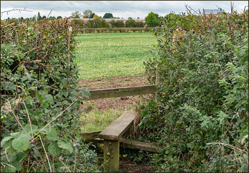 Colston Bassett Walk