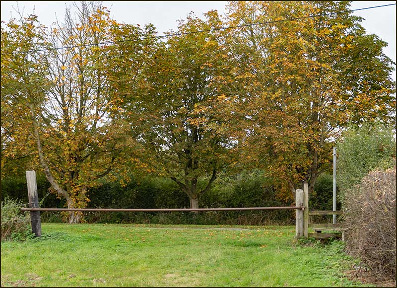 Colston Bassett Walk