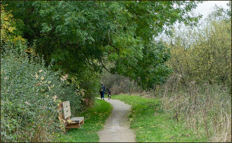 Colston Bassett Walk