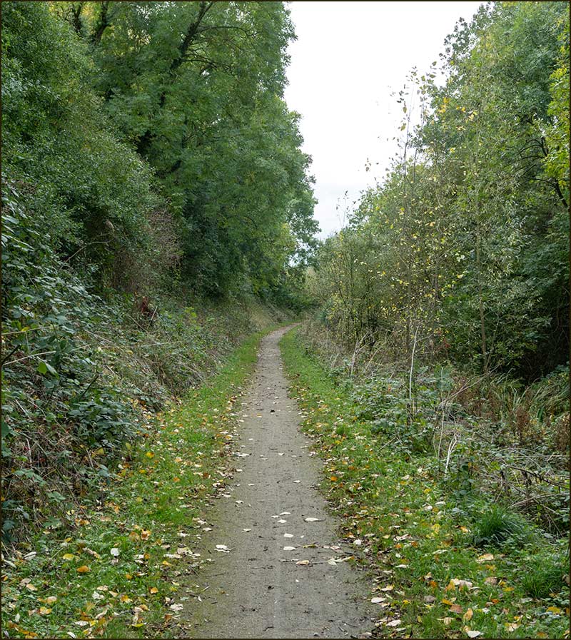 Colston Bassett Walk