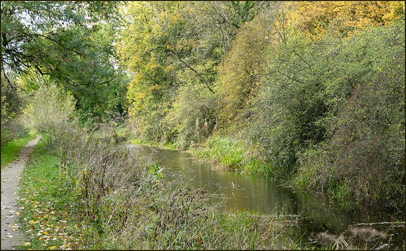 Colston Bassett Walk