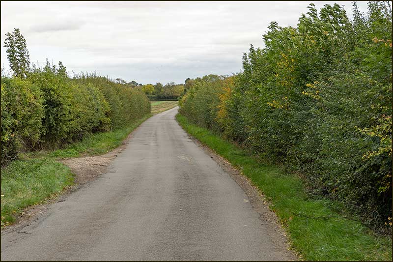 Colston Bassett Walk