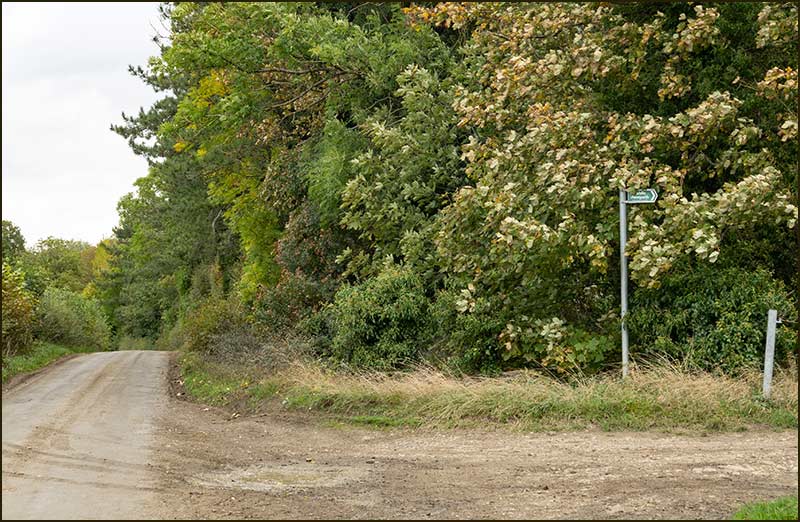 Colston Bassett Walk