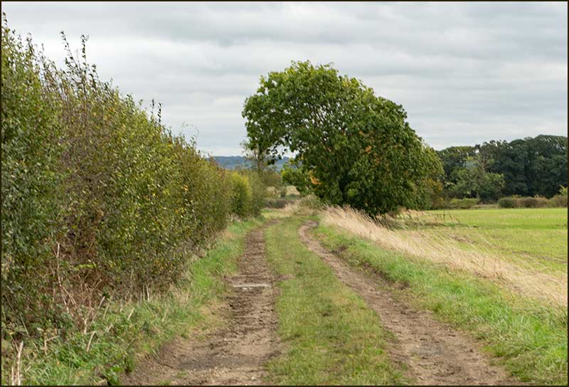 Colston Bassett Walk