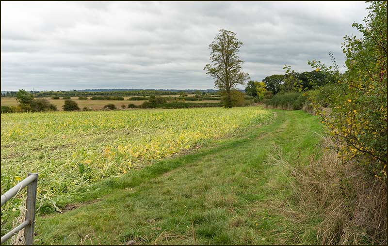 Colston Bassett Walk