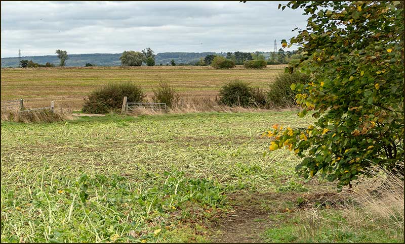 Colston Bassett Walk