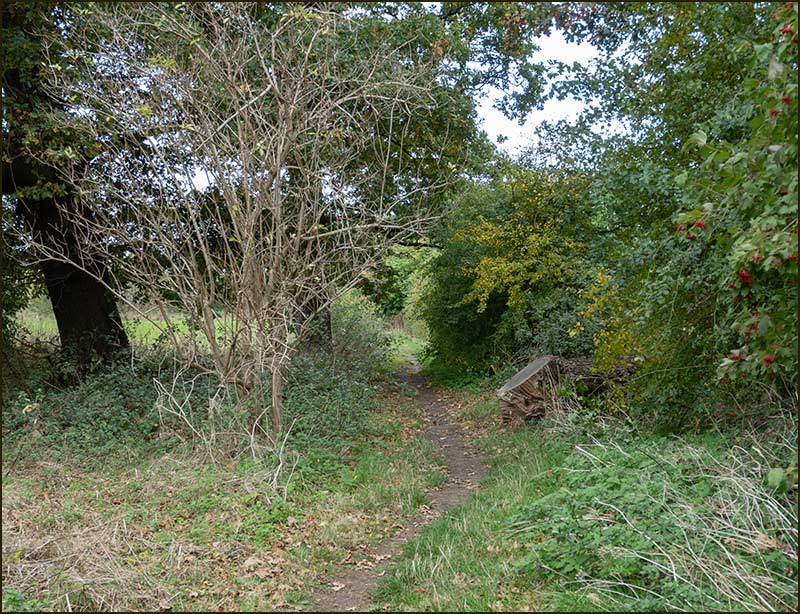 Colston Bassett Walk