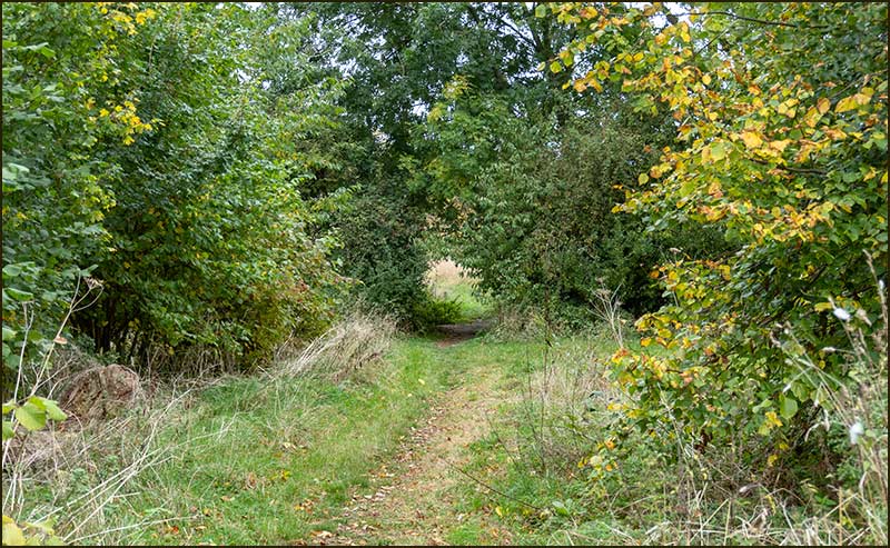 Colston Bassett Walk