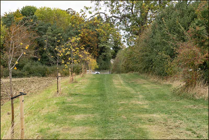 Colston Bassett Walk