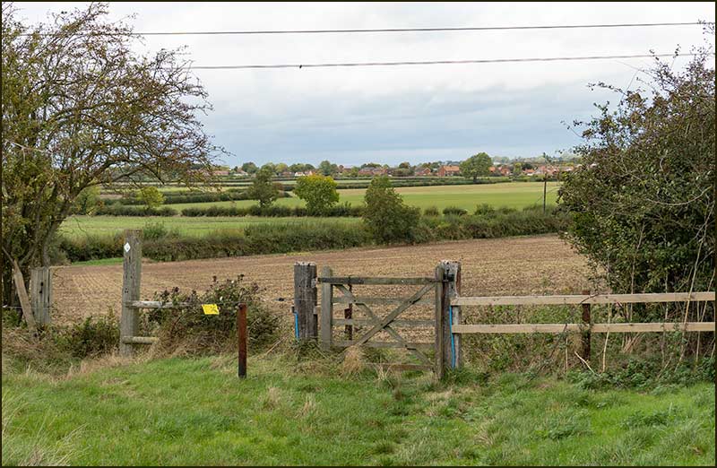 Colston Bassett Walk